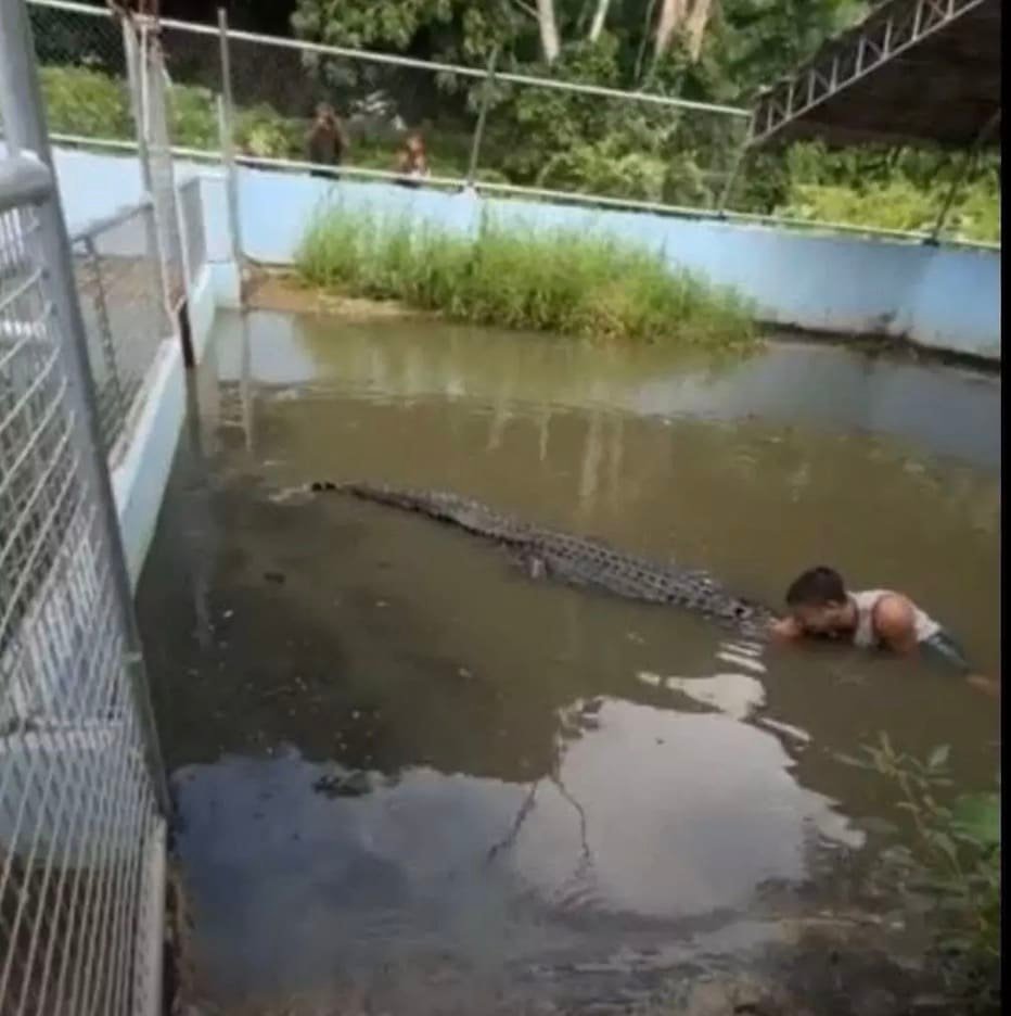 O crocodilo o mordeu várias vezes e tentou arrastá-lo na