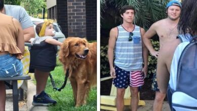 18 Imagens capazes de distorcer a lógica das nossas mentes