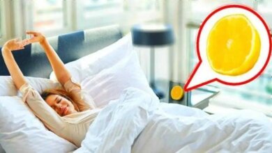Isto é o que acontece se você colocar um limão do lado da cama D