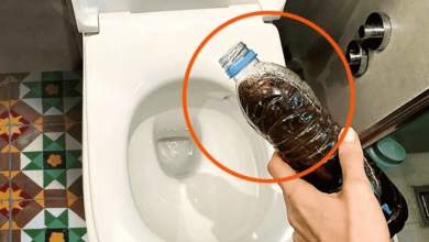 Como limpar rejunte encardido de forma simples e rápida
