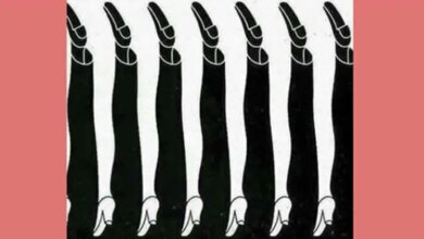 Desafio: quantas pernas você vê na foto?