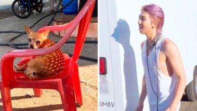 18 vezes que as sombras acabaram distorcendo a realidade