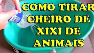 Como tirar cheiro de urina de animais da casa com apenas 3 ingredientes