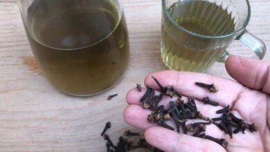 Cravo da índia como antidepressivo, anti-séptico e analgésico || INFUSÃO NATURAL