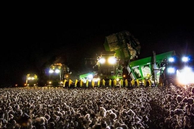 1652663058 838 Calma Apenas 12 Imagens que nao sao nada do que