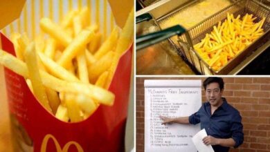 Após esse vídeo, você nunca mais vai ver as batatas do McDonald’s da mesma maneira
