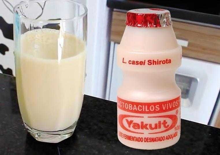 Como Fazer 1 Litro de Yakult Caseiro