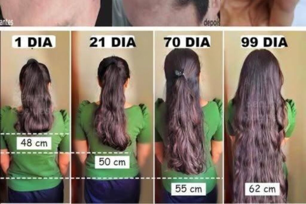 Alimentos Ricos em Zinco