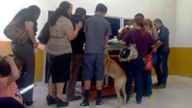 1573121186 316 Cachorro anda 8 quilometros para se despedir de sua dona