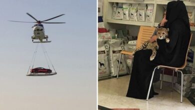 15 Coisas exuberantes e curiosas que só acontecem em Dubai