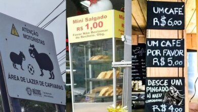 15 placas e avisos engraçados que mostram que os brasileiros não têm medo do perigo