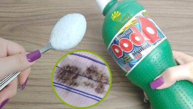 Como Usar Água Sanitária e Açúcar para Remover Mofo de roupas e tecidos
